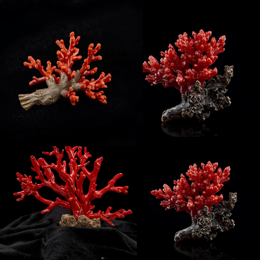 Beautiful Red Coral gemstone with exceptional quality and color