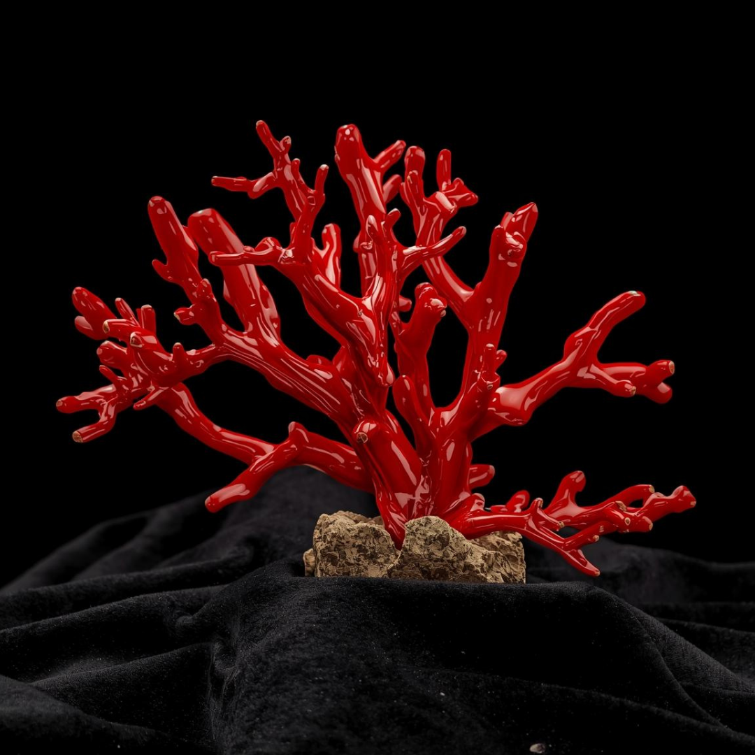 Red Coral (Moonga)